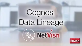 Происхождение и зависимость данных Cognos в NetVisn