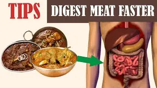 HOW TO DIGEST MEAT FAST | TIPS TO DIGEST MEAT FASTER | HOW TO DIGEST MEAT EASILY