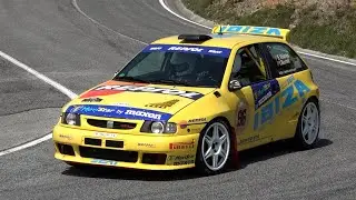 Eduard Vi&ntilde;olas - Isaac Borrell | Rallye Festival Hoznayo 2024 | Seat Ibiza Kit Car