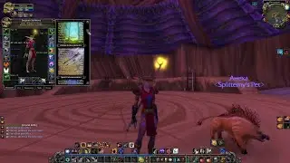Lvl 19 Twink Hunter [Classic]