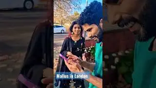 rum rekhtha rum......#shortvideo #mallus #in #london