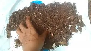 Adukkala thottam tips