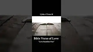 1 John 4:18 Bible Verse of Love. Love drives out Fear.#bible #bibleverse #bibleverseoftheday #love