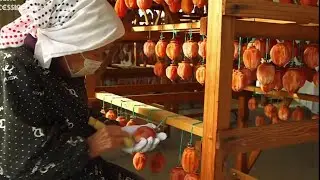 The Farmer - Japan Dried Persimmon Processing - Amazing Asia Agriculture Fruit Harvesting