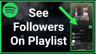 How To See Who Follows Your Playlist On Spotify