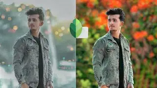 Snapseed Background Change Photo Editing Tutorial | Snapseed Photo Editing