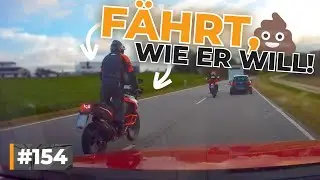 Laterne getroffen, Anhalter auf Autobahn und Dinosaurier ausgebüchst! | #GERMAN #DASHCAM | #154