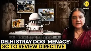 Maneka Gandhi Speaks To WION On Uproar Over SC Directive On Stray Dogs In Delhi-NCR | WION