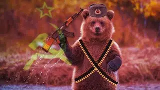 Vodka, Bears, Guns, oh my! - Bears, Vodka, Balalaika