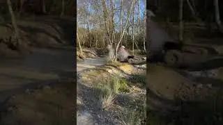 Timberwolf Yamaha Quad Bike Mud Riding