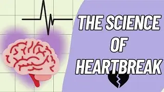 Why Heartbreak Hurts &mdash; The Brain Science Behind It