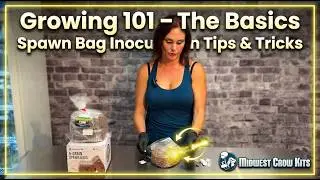 How to Inoculate & Use Spawn Bags - Growing 101 - The Basics