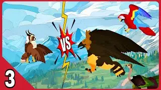 Greatest Owl vs 3 Challengers | Who Wins?