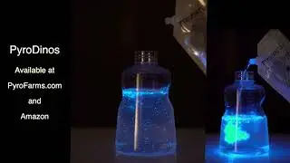 Natural Living Light from Plant-Plankton. Glows at Night with a little shake or swirl