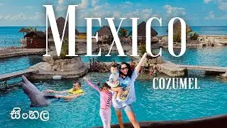 අපි මෙක්සිකෝවේදී Dolphins එක්ක පීනපු හැටි🐬| SWIM WITH DOLPHINS @ DOLPHINARIS | COZUMEL MEXICO 🚢
