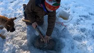Pulling Minnow Traps