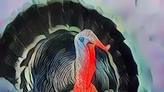 Turkey and his family