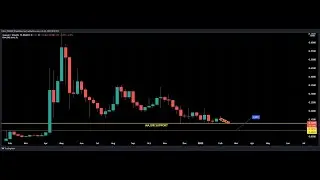 WATHCOUT DOGECOIN HOLDERS🧐😨😱#shorts #doge #memes #memecoin #chilltrader