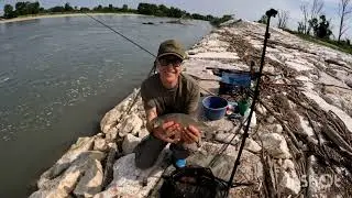 Feeder: Una bella pesca e un 