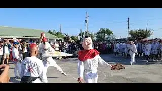 七股樹仔腳寶安宮白鶴陣打圈   七股九龍宮乙巳年入火安座遶境