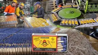 Incredible process of making matches sticks in factory | mass production of matches