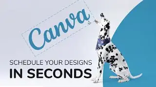 How to use Canva&rsquo;s integration with Metricool 🖌️