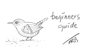 How to Draw a Wren|Sketching|Drawing|Outline Drawing|Pencil Drawing|Easy Drawing|Art|Sketch book|Fun