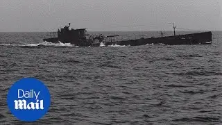 Take a look at HMS Saracen in action - Daily Mail