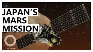 Japan will explore Mars' moons in 2024 - TomoNews