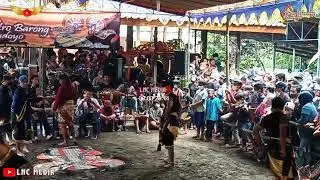 Jaran Sak Belone Versi PBB - Putro Barong Budoyo Singer by Mba Dita Amelia Babak ndadi