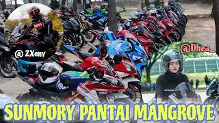 SUNMORY TUBAN PECAH ‼️PANTAI MANGROVE BEAT