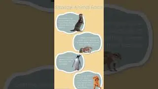 Strange Animals Facts. #animallife #amazingfacts Music:Eclipsed EchoMusician:VN VideoEditor