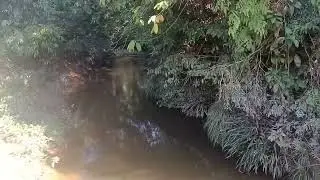 Sungai Lingah Julau // Rumah Mambang Anak Kana Nanga Lingah Julau #borneosarawak