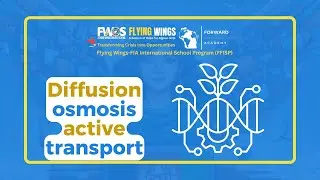 Lesson 4 Diffusion, osmosis, active transport