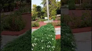GPO Garden #patna #bihar