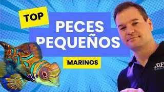 🐠 &iquest;QU&Eacute; PECES ELEGIR? GU&Iacute;A PARA ACUARIOS DE 200 - 400 LT.