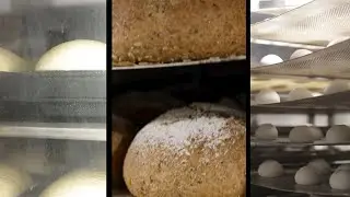 KOMA - Par baked frozen, frozen dough & dough retarding