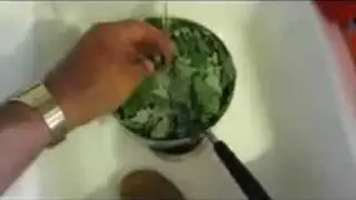 Harvest and Cook Lambsquarter