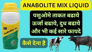 Anabolite Mix Liquid || Nutritional Feed Supplement For Cattles