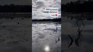 Walking around a lake in Perth Western Australia, #Claremontlake #perthtour