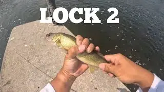 Shore Fishing Spot On the Trent River, Lock 2 #FishingWithDavey