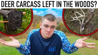 WHAT EATS A DEER CARCASS LEFT IN THE WOODS? (Trail Camera)