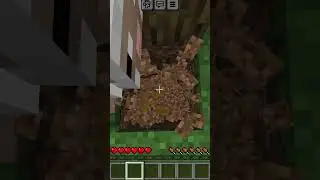 Прохождение 