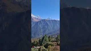 #poonhill #phoolbari #moharedanda #nepal #travel