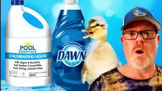Pretreating With Dawn Platinum And Bleach For Pressure Washing Is It Dangerous ⚠️