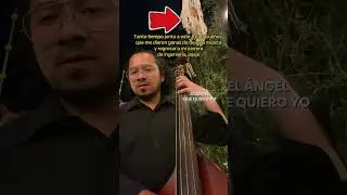 Pov eres el atril del contrabajista #bass