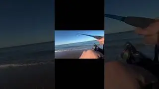 🐟 𝐑𝐎𝐁𝐀𝐋𝐎 a superficie con el PATCHINKO 🎣 #fishing #pescaspinning #pesca #playa
