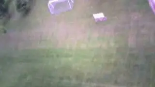 wildhawk and flycam 2