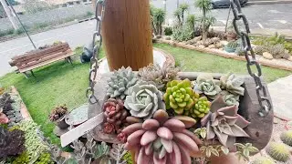 CONHECI O JARDIM + LINDO 😍 CHEIO DE CACTOS E SUCULENTAS 🌿DECORAÇÃO RÚSTICA - @Pé de Flor Suculentas