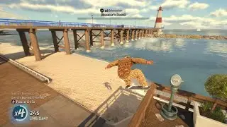skate. | nash bridges